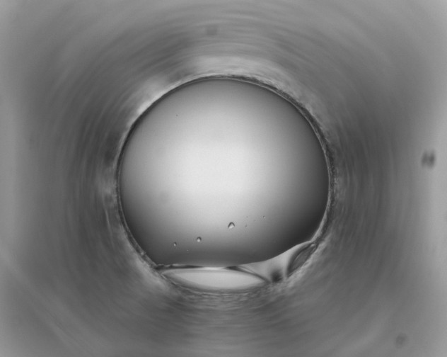 X0000096161521200802011244