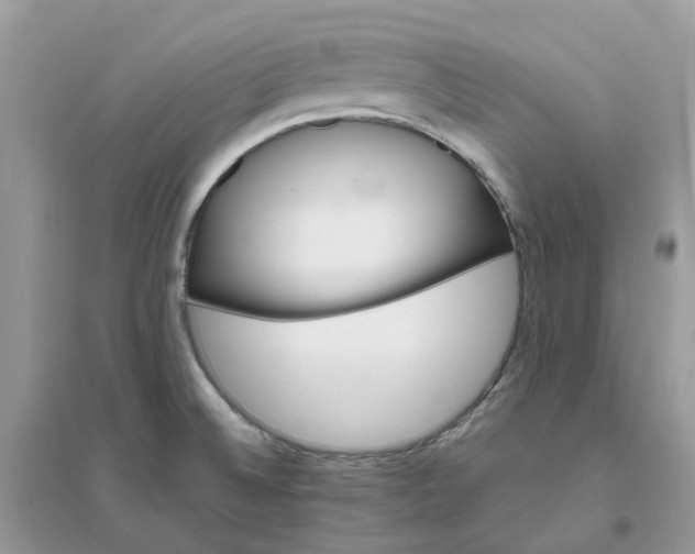 X0000096161524200802011244