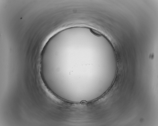 X0000096161526200802011244