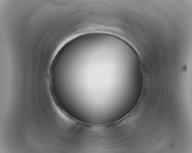 X0000096161531200802011244