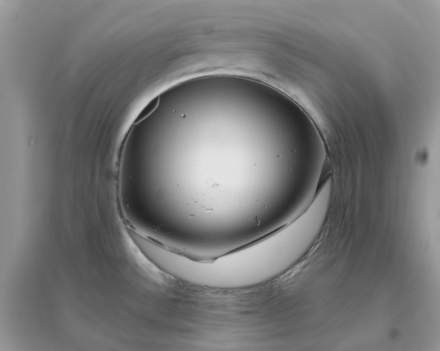 X0000096161532200802011244