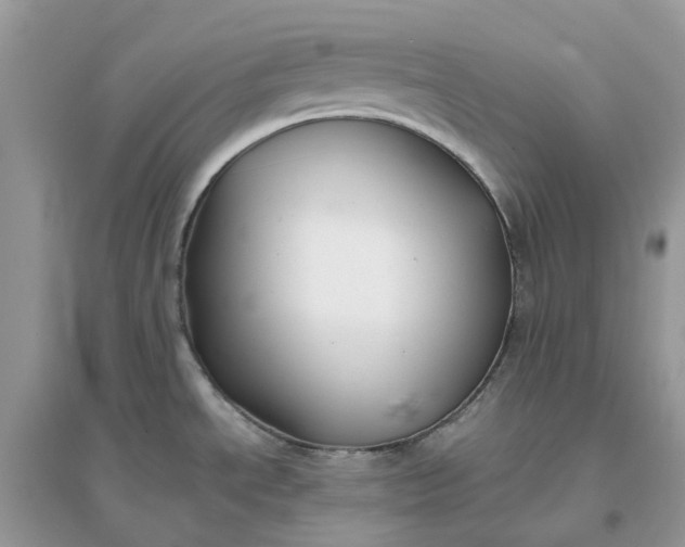 X0000096161534200802011244