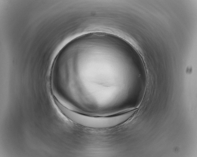 X0000096161536200802011244