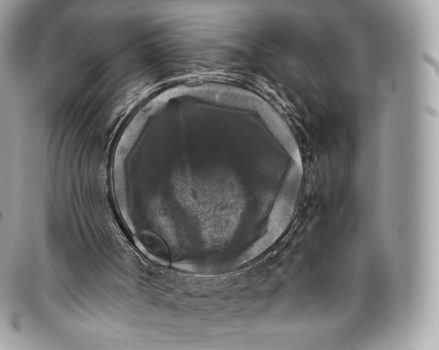 X0000096160002200802081445