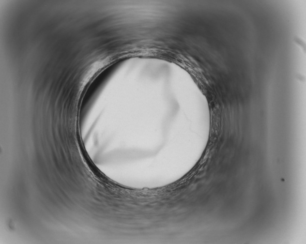 X0000096160003200802081445