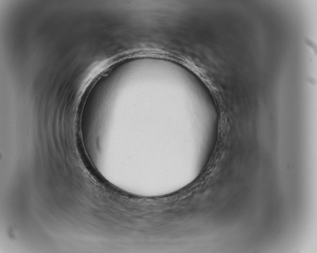 X0000096160007200802081444