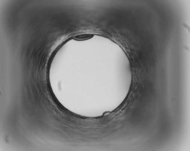 X0000096160008200802081444