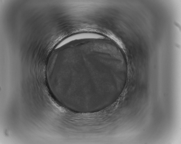 X0000096160009200802081444