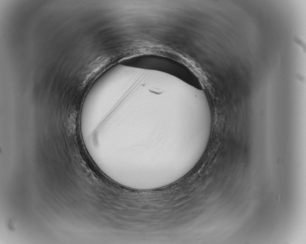 X0000096160010200802081444