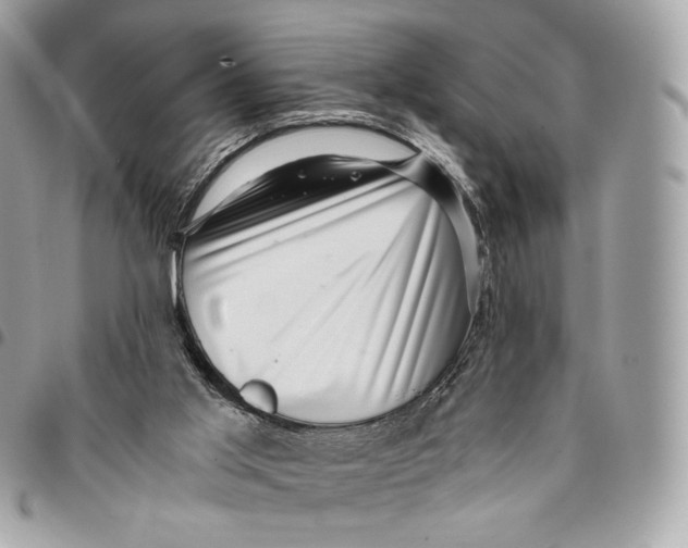 X0000096160013200802081444