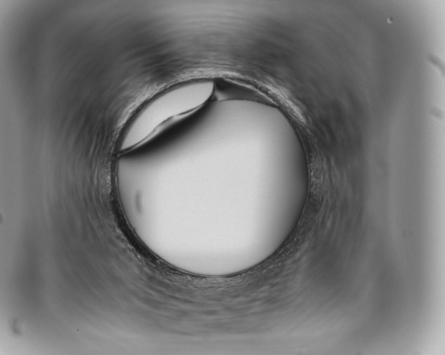 X0000096160015200802081444