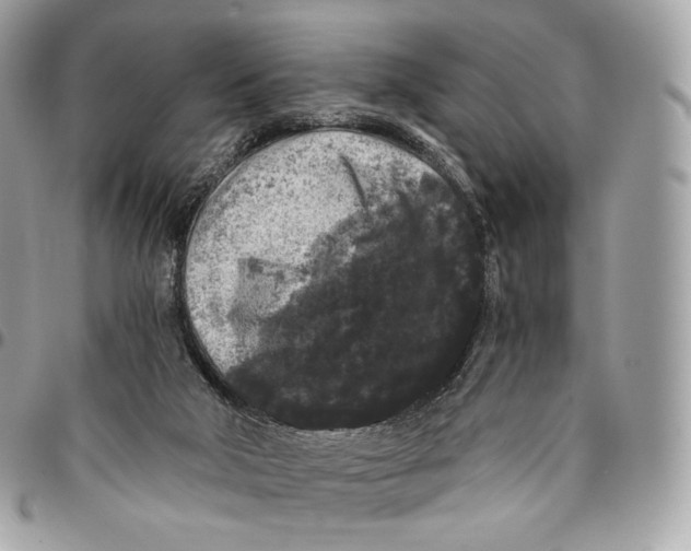 X0000096160018200802081444