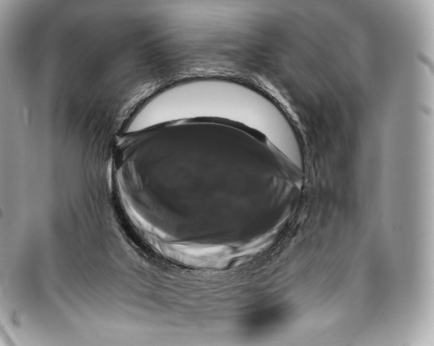 X0000096160019200802081444