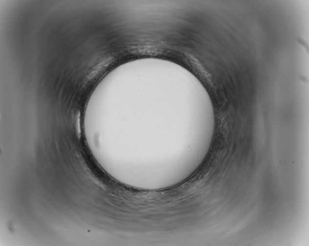 X0000096160020200802081444