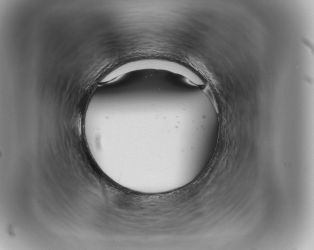 X0000096160021200802081444