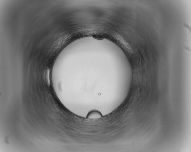 X0000096160022200802081444