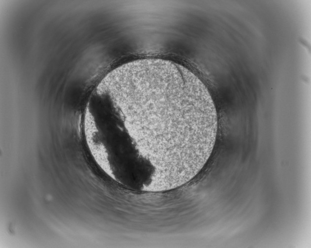 X0000096160024200802081444