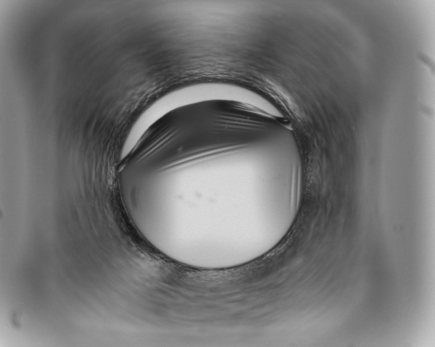 X0000096160025200802081444