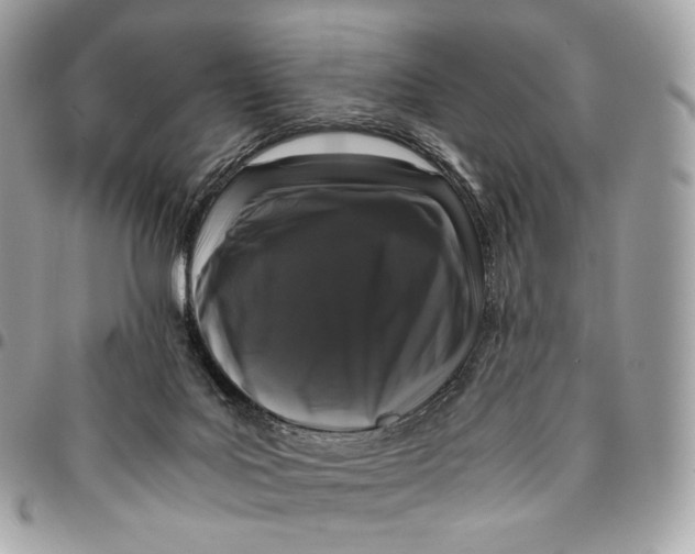 X0000096160027200802081444