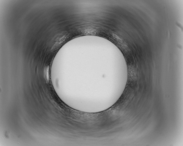 X0000096160028200802081444