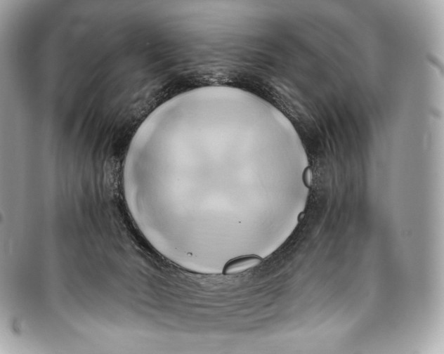 X0000096160030200802081444