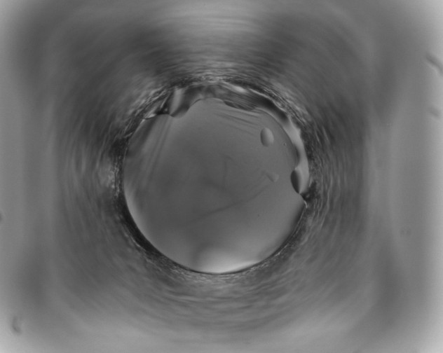 X0000096160031200802081444