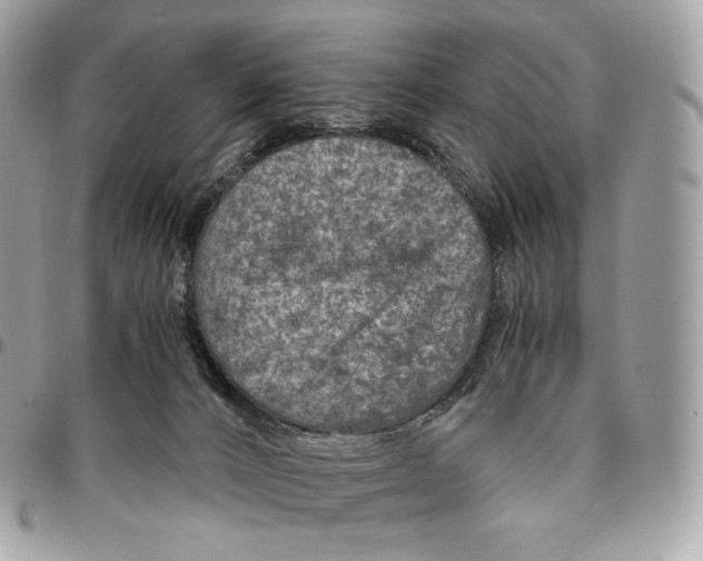 X0000096160032200802081444