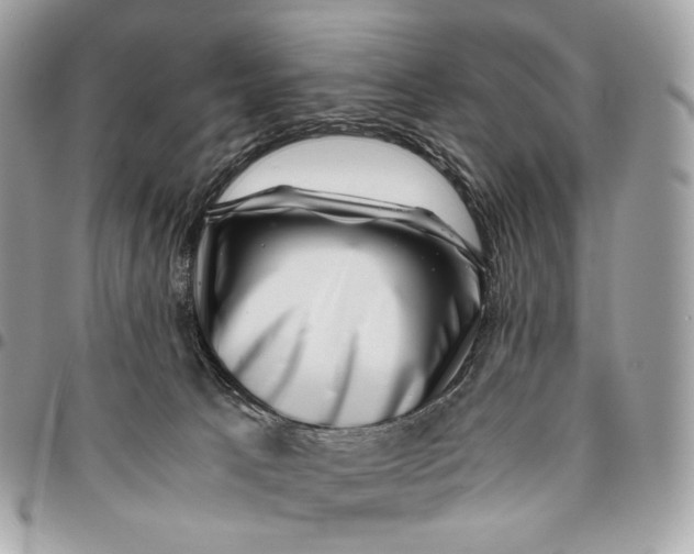 X0000096160033200802081444