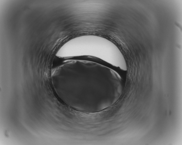 X0000096160035200802081444