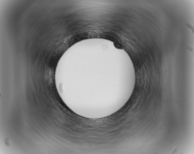 X0000096160038200802081444