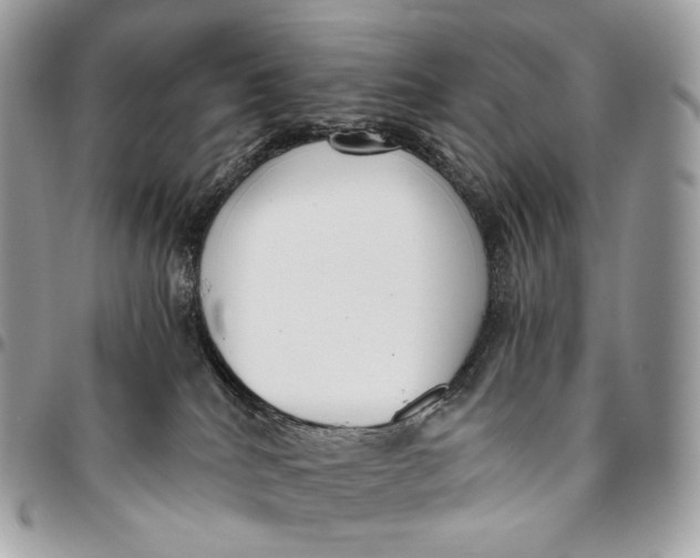 X0000096160040200802081444