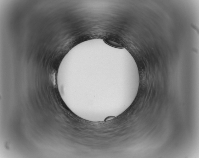 X0000096160042200802081444