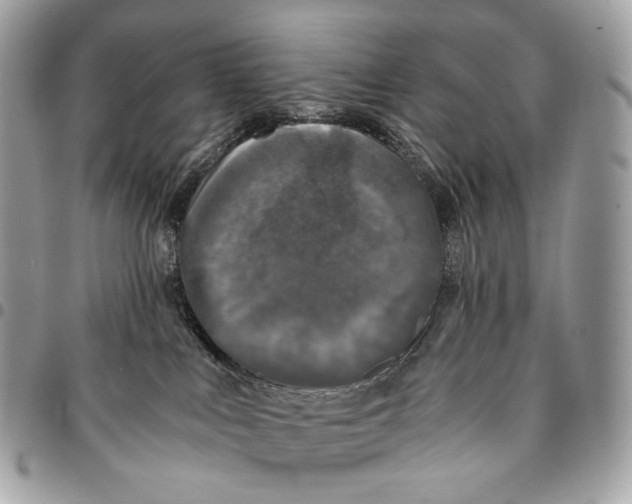 X0000096160043200802081444