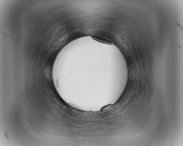 X0000096160044200802081444