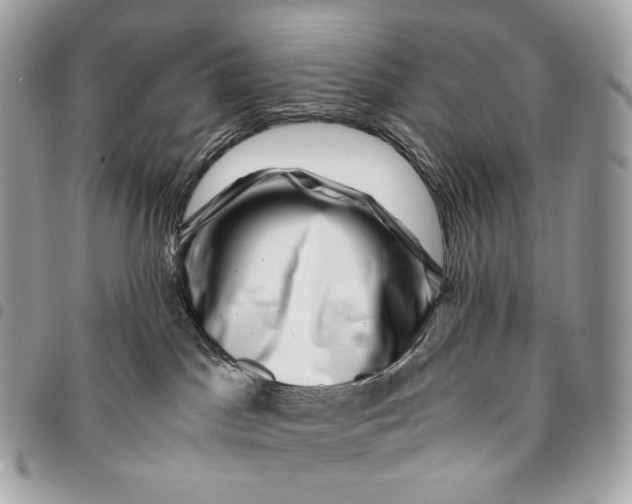 X0000096160045200802081444