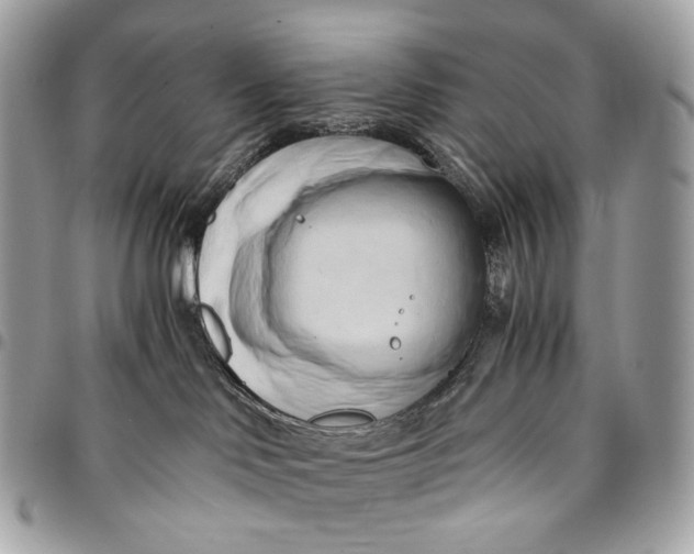 X0000096160046200802081444