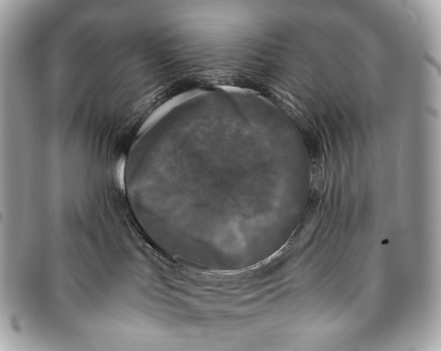 X0000096160047200802081444