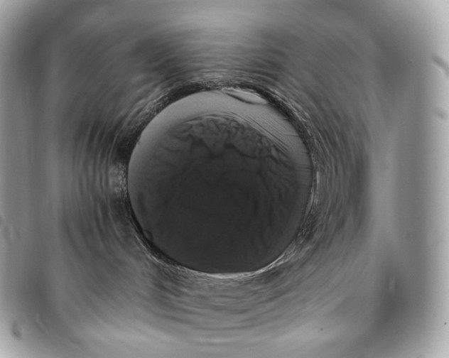 X0000096160048200802081444