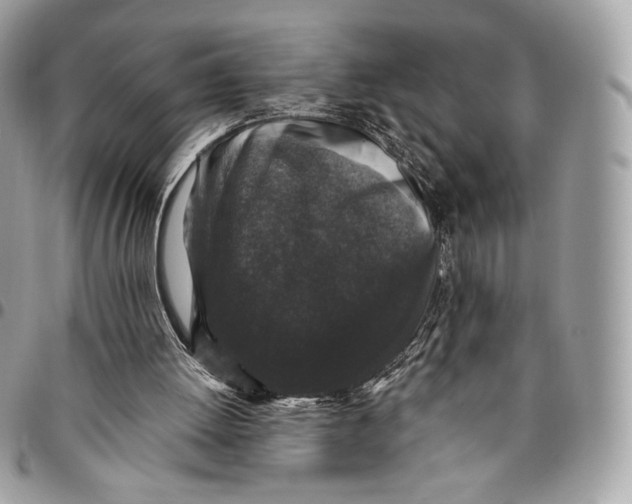 X0000096160052200802081443