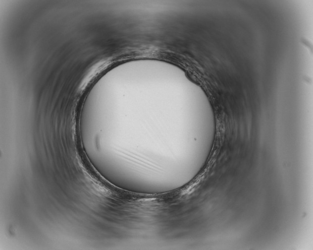 X0000096160054200802081443