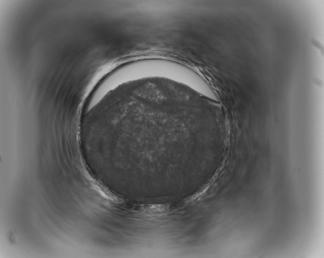 X0000096160056200802081443