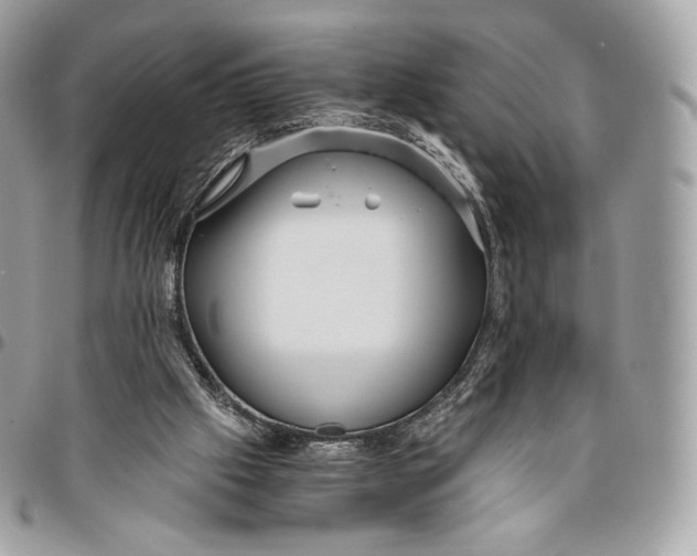 X0000096160057200802081443