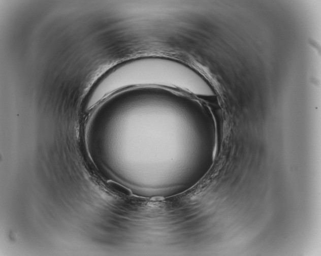 X0000096160060200802081443