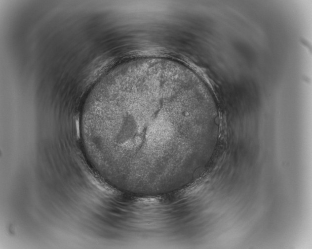 X0000096160061200802081443