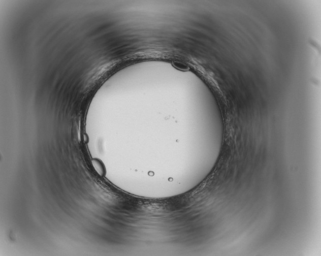 X0000096160062200802081443