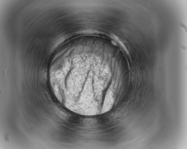 X0000096160063200802081443