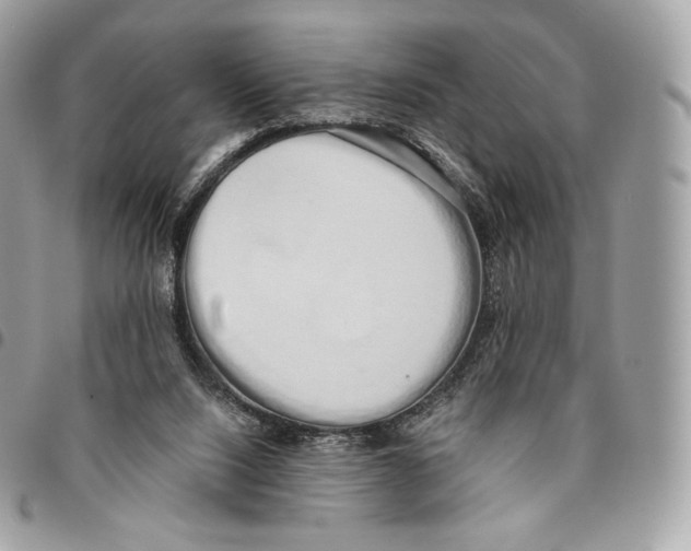 X0000096160064200802081443