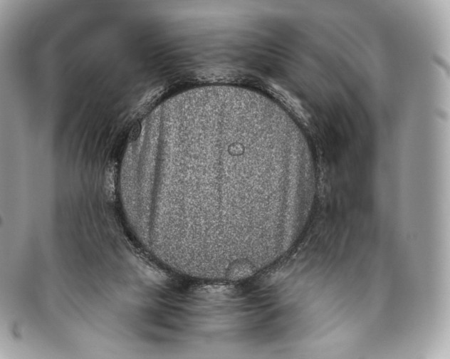 X0000096160065200802081443