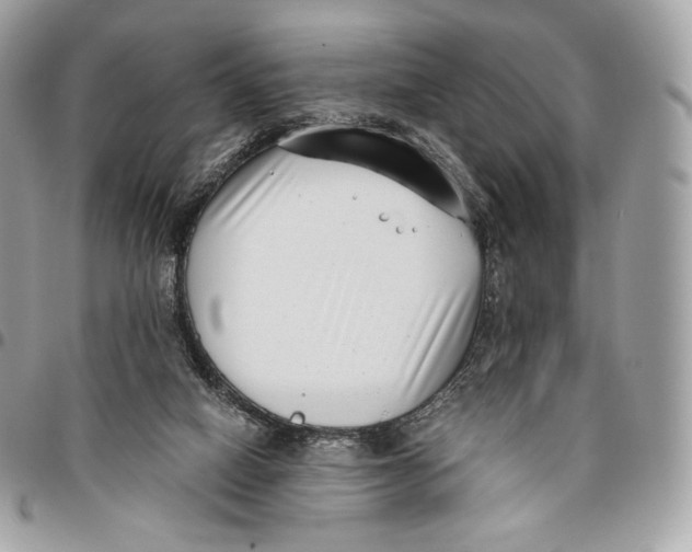 X0000096160066200802081443