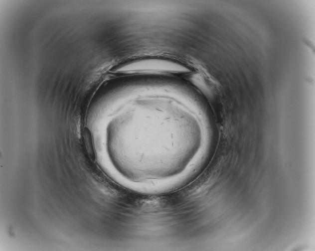 X0000096160068200802081443